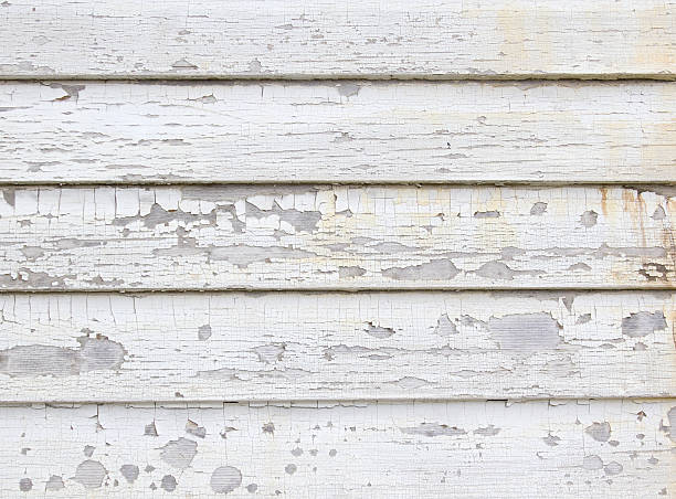 Best Carpet Removal and Disposal  in Taylor, PA